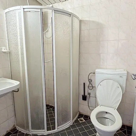 Saffron マルマリス