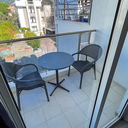 Saffron マルマリス